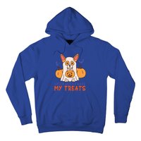 Funny Corgi Dog Lover Witch Better Have My Treats Halloween Gift Hoodie