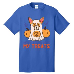 Funny Corgi Dog Lover Witch Better Have My Treats Halloween Gift Tall T-Shirt