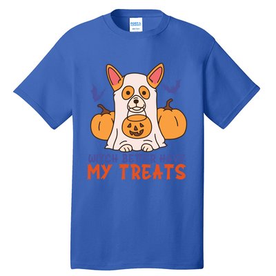 Funny Corgi Dog Lover Witch Better Have My Treats Halloween Gift Tall T-Shirt