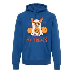 Funny Corgi Dog Lover Witch Better Have My Treats Halloween Gift Premium Hoodie