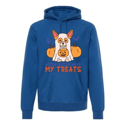 Funny Corgi Dog Lover Witch Better Have My Treats Halloween Gift Premium Hoodie