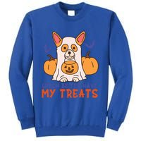 Funny Corgi Dog Lover Witch Better Have My Treats Halloween Gift Tall Sweatshirt