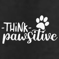 Funny Cute Dog Pawprint Gift Think Pawsitive Adult Drive Performance Visor