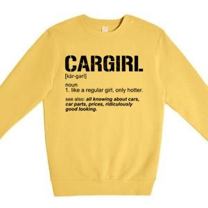 Funny Car Definition Car Parts Car Lover Hotter Car Gift Premium Crewneck Sweatshirt