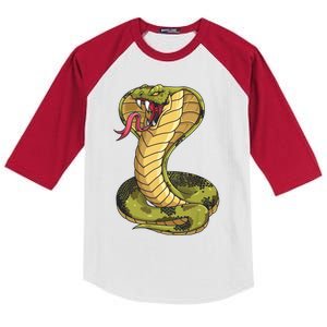 Funny Cobra Design For Men Women King Snake Cobra Lover Kids Colorblock Raglan Jersey