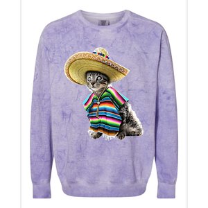 Funny Cinco De Mayo Cat Sombrero Poncho Party Gift Colorblast Crewneck Sweatshirt