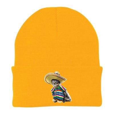 Funny Cinco De Mayo Cat Sombrero Poncho Party Gift Knit Cap Winter Beanie