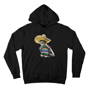 Funny Cinco De Mayo Cat Sombrero Poncho Party Gift Hoodie