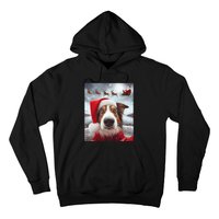 Funny Christmas Dog With Santa Dog Selfie With Santa Hoodie