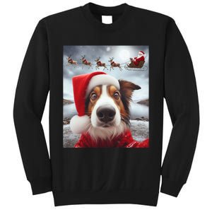 Funny Christmas Dog With Santa Dog Selfie With Santa Sweatshirt