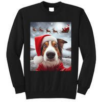 Funny Christmas Dog With Santa Dog Selfie With Santa Tall Sweatshirt