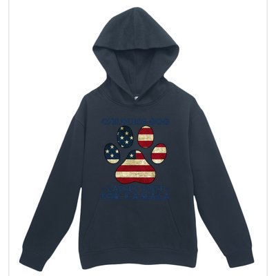 Funny Childless Dog Ladies Vote For Kamala Usa Flag Gift Urban Pullover Hoodie