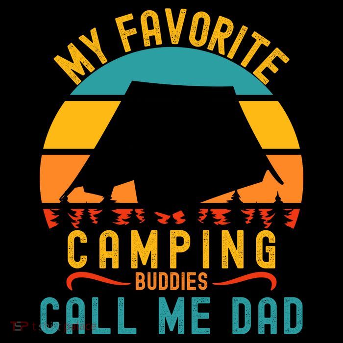 Funny Camping Dad, My Favorite Camping Buddies Call Me Dad Womens T-Shirt
