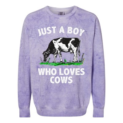 Funny Cow Design Cow Farmer Livestock Animal Colorblast Crewneck Sweatshirt