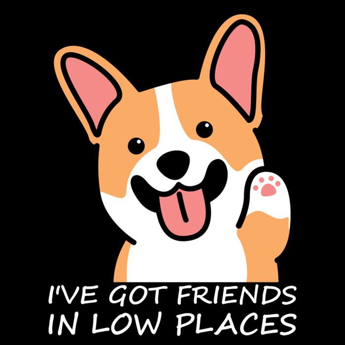 Funny Corgi Dog Lovers I've Got Friends In Low Place Mom Gift City Backpack