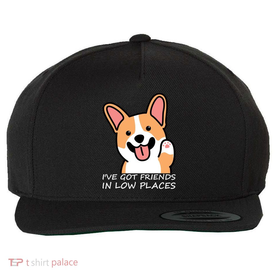 Funny Corgi Dog Lovers I've Got Friends In Low Place Mom Gift Wool Snapback Cap