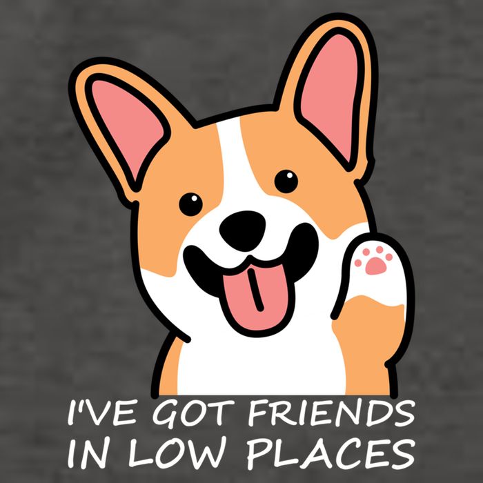 Funny Corgi Dog Lovers I've Got Friends In Low Place Mom Gift Vector Backpack