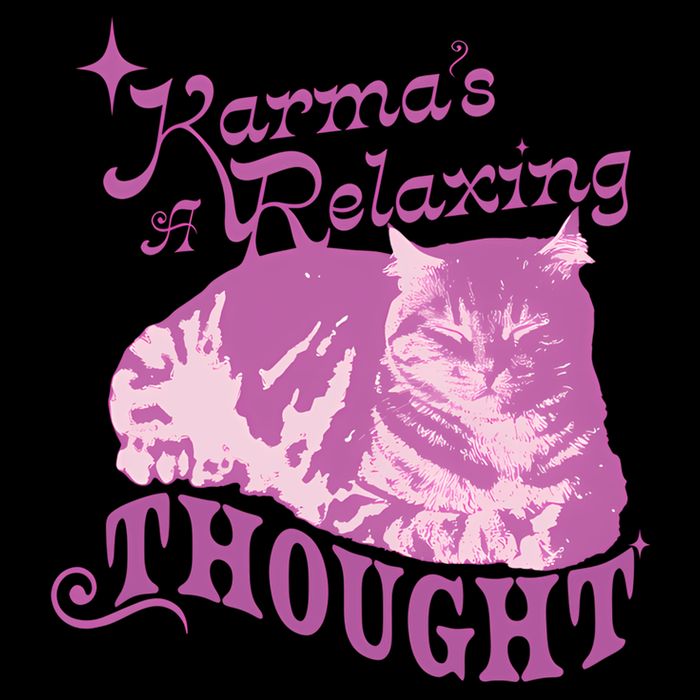 Funny Cat Design Karma Is A Relaxing Hoodie