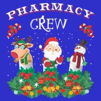 Funny Christmas Design Gift Idea Pharmacy Crew Xmas Holiday Gift Premium T-Shirt