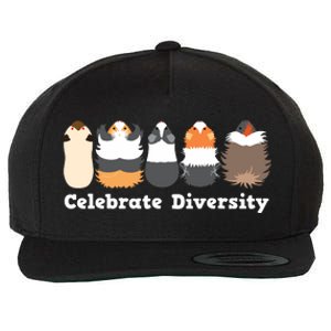 Funny Celebrate Diversity Cute Shirts For Guinea Pig Lovers Wool Snapback Cap