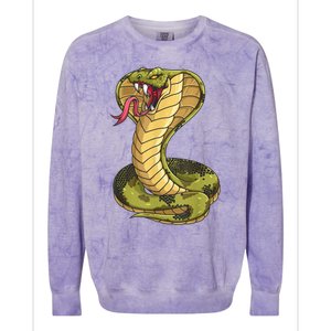 Funny Cobra Design For Men Women Kids King Snake Cobra Lover Colorblast Crewneck Sweatshirt