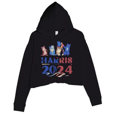 Funny Cat Design Kamala Harris 2024 Childless Cat Lady Gift Crop Fleece Hoodie