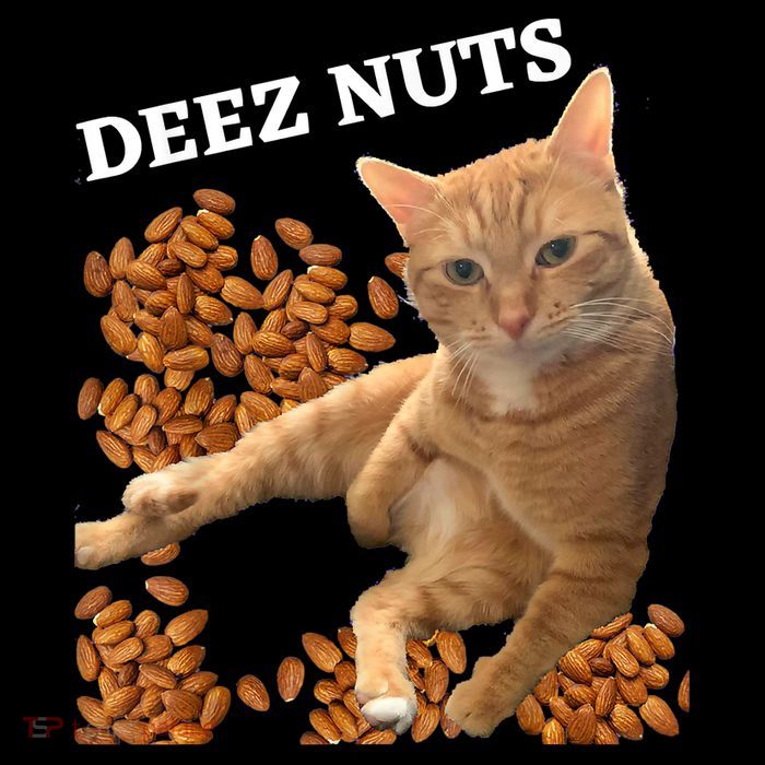Funny Cat Deez Nuts Joke Mousepad