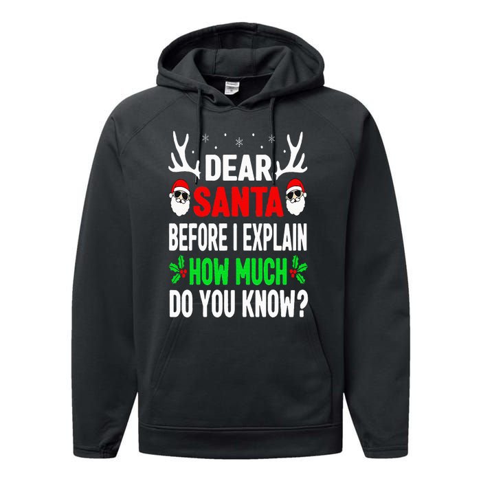 Funny Christmas Dear Santa I Can Explain Performance Fleece Hoodie