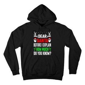 Funny Christmas Dear Santa I Can Explain Hoodie