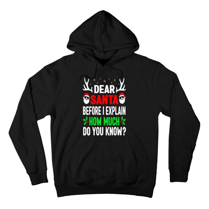 Funny Christmas Dear Santa I Can Explain Hoodie