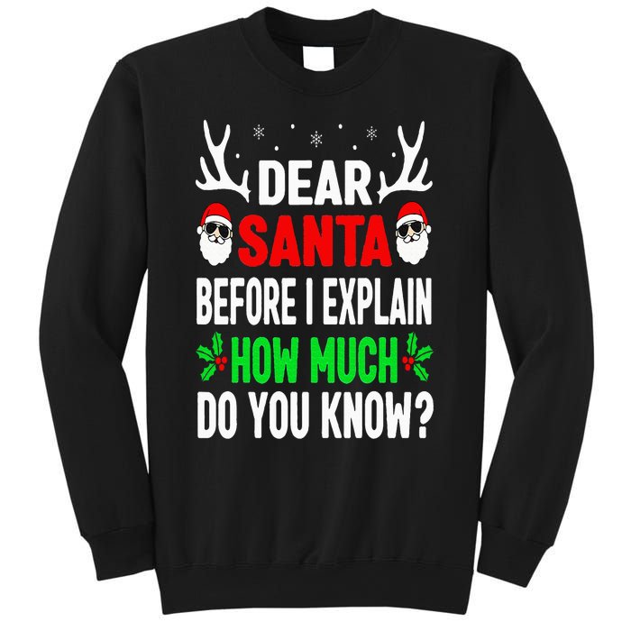 Funny Christmas Dear Santa I Can Explain Sweatshirt