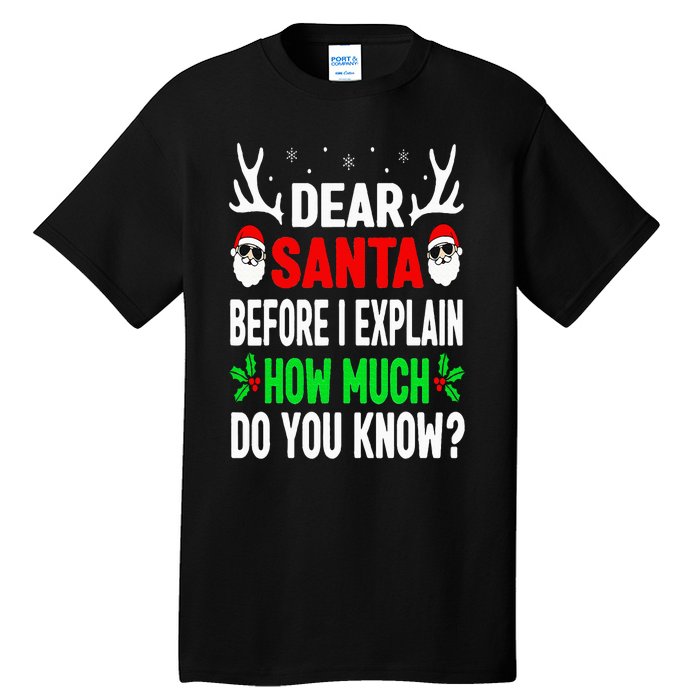 Funny Christmas Dear Santa I Can Explain Tall T-Shirt