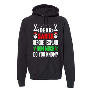 Funny Christmas Dear Santa I Can Explain Premium Hoodie