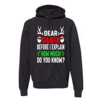 Funny Christmas Dear Santa I Can Explain Premium Hoodie