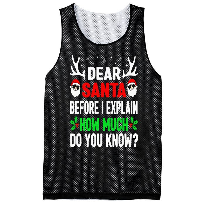 Funny Christmas Dear Santa I Can Explain Mesh Reversible Basketball Jersey Tank