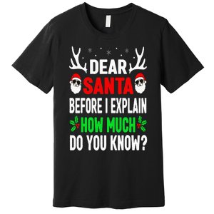 Funny Christmas Dear Santa I Can Explain Premium T-Shirt