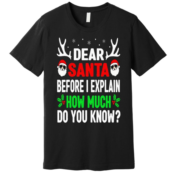 Funny Christmas Dear Santa I Can Explain Premium T-Shirt