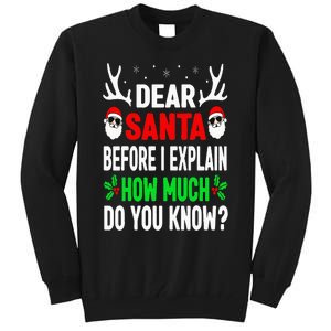 Funny Christmas Dear Santa I Can Explain Tall Sweatshirt