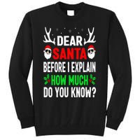 Funny Christmas Dear Santa I Can Explain Tall Sweatshirt