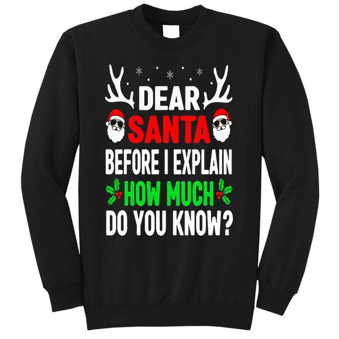 Funny Christmas Dear Santa I Can Explain Tall Sweatshirt