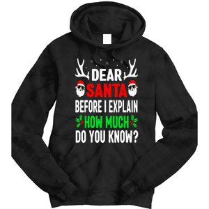 Funny Christmas Dear Santa I Can Explain Tie Dye Hoodie