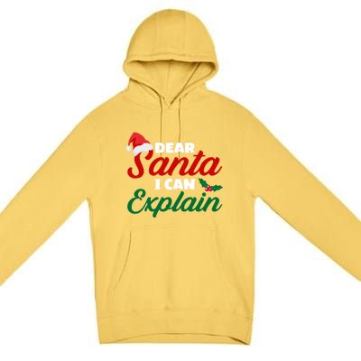 Funny Christmas Dear Santa I Can Explain Great Gift Premium Pullover Hoodie