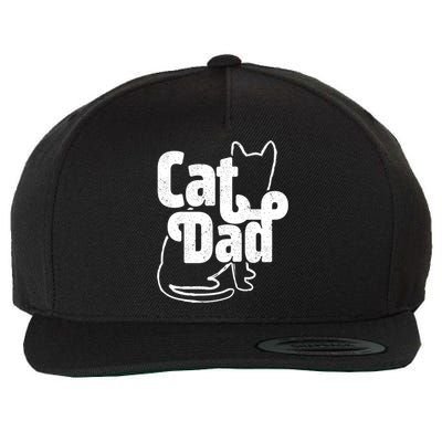 Funny Cat Dad Cat Lover Gift Cool Gift Wool Snapback Cap