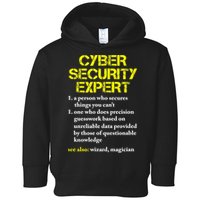 Funny Cybersecurity Definition Expert Computer Engineer TShirt Toddler Hoodie
