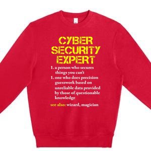 Funny Cybersecurity Definition Expert Computer Engineer TShirt Premium Crewneck Sweatshirt