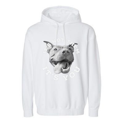 Funny Cute Dog Lover Gift Funny Pitbull Lover Gift ItS Not Them Advocate Garment-Dyed Fleece Hoodie