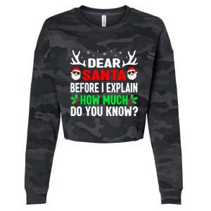 Funny Christmas Dear Santa I Can Explain Cropped Pullover Crew