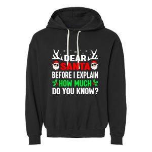 Funny Christmas Dear Santa I Can Explain Garment-Dyed Fleece Hoodie