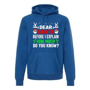 Funny Christmas Dear Santa I Can Explain Premium Hoodie