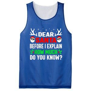 Funny Christmas Dear Santa I Can Explain Mesh Reversible Basketball Jersey Tank